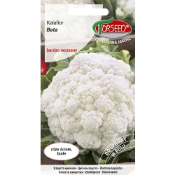 Kalafiora BETA – Odmiana Wczesna, Wysoka Plenność, odporna Nasiona